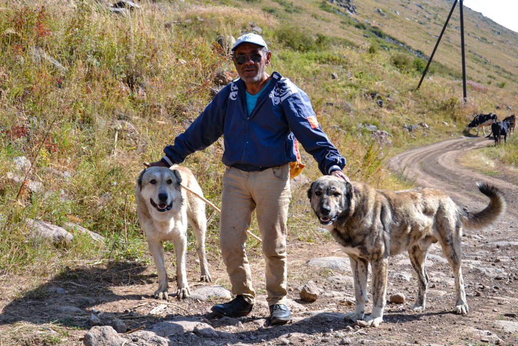 Gegharot Waterfall on Mount Aragats