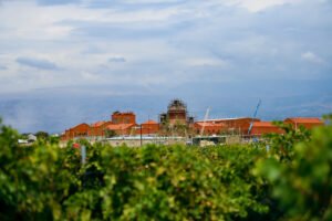 The factory from the vineyards.