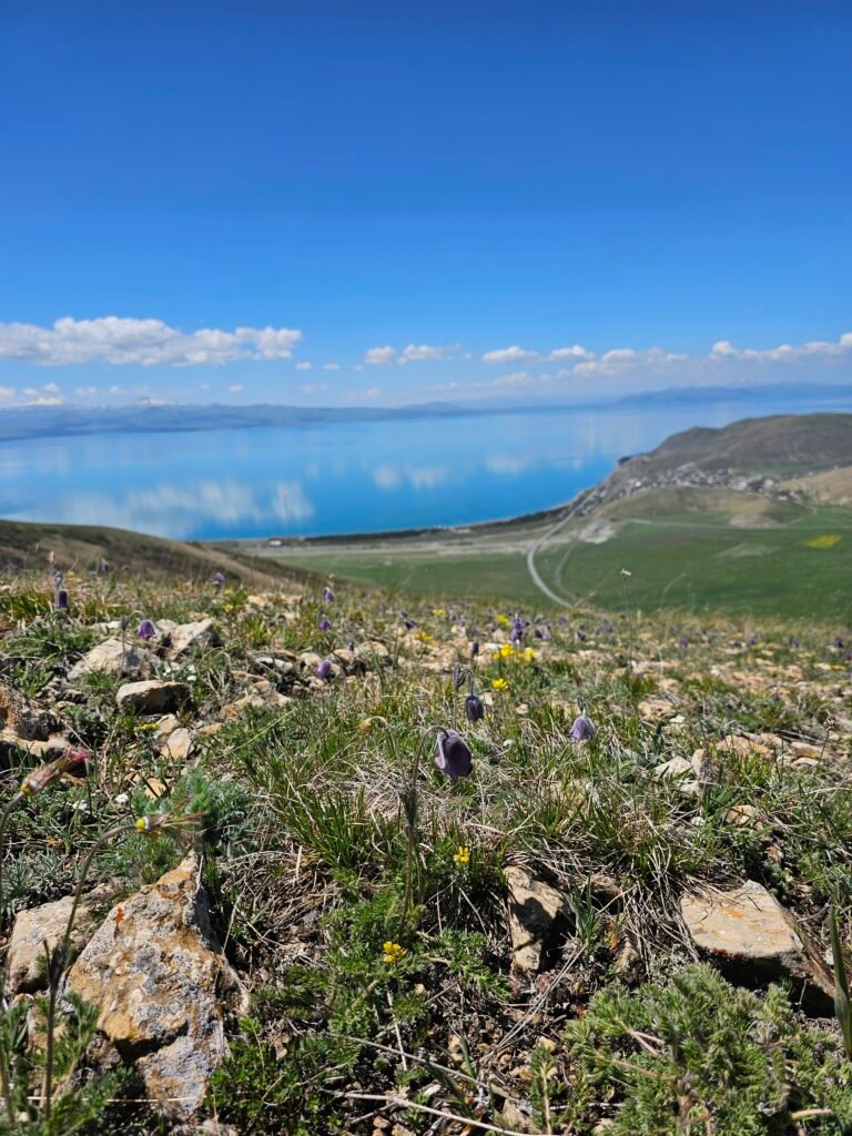 Արտանիշ լեռ